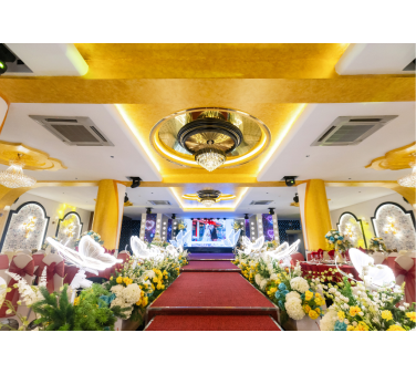 SẢNH MAI VÀNG 