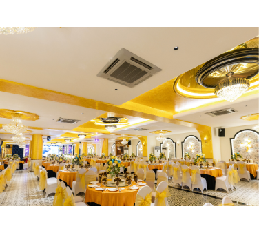 SẢNH MAI VÀNG 